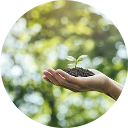 Relaciones sostenibles y responsables